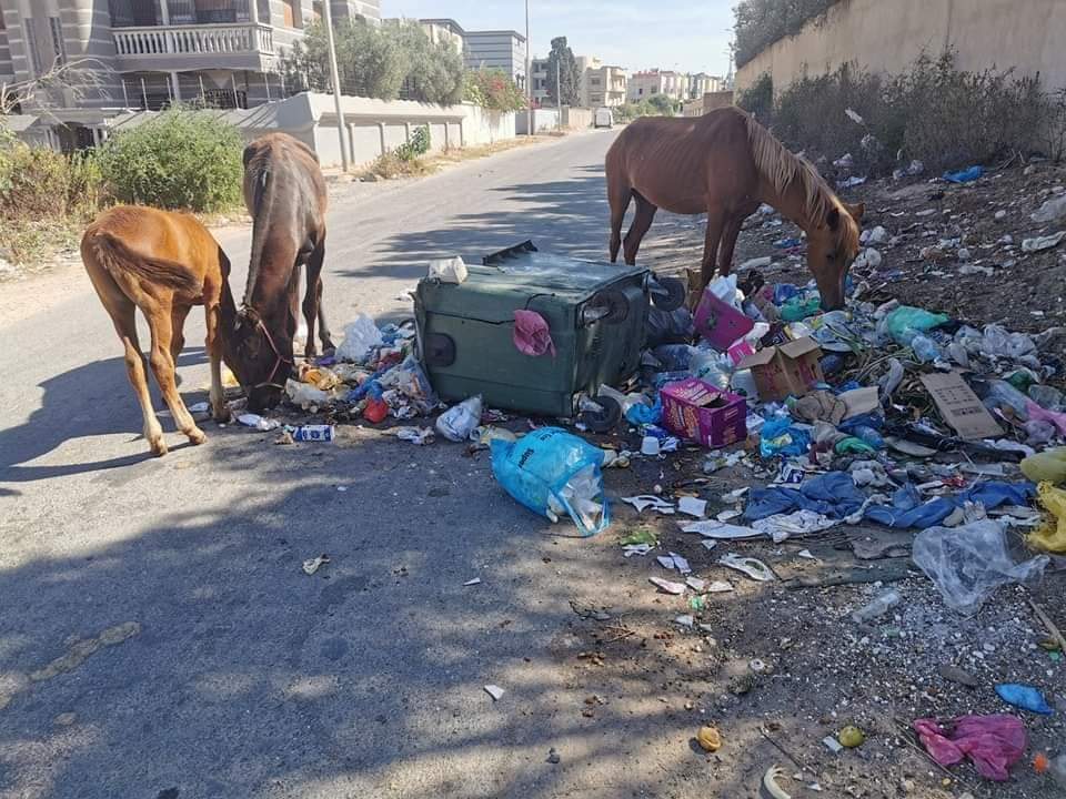 مدينة أسفي تغرق في الأزبال من جديد والاستياء يعم السّاكنة