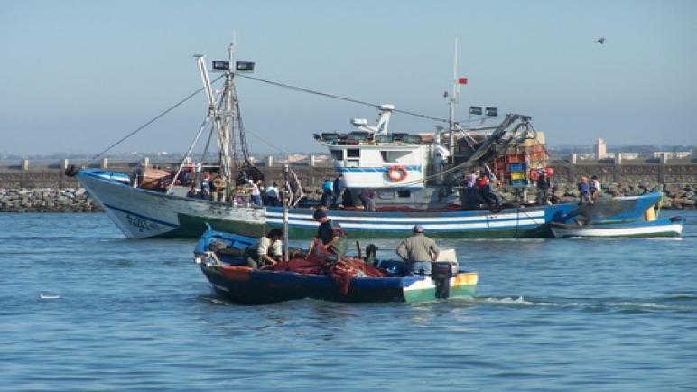 الصيد البحري أحد أقدم مهن الساحل